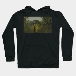 Tropical Landscape by Frederic Edwin Church Hoodie